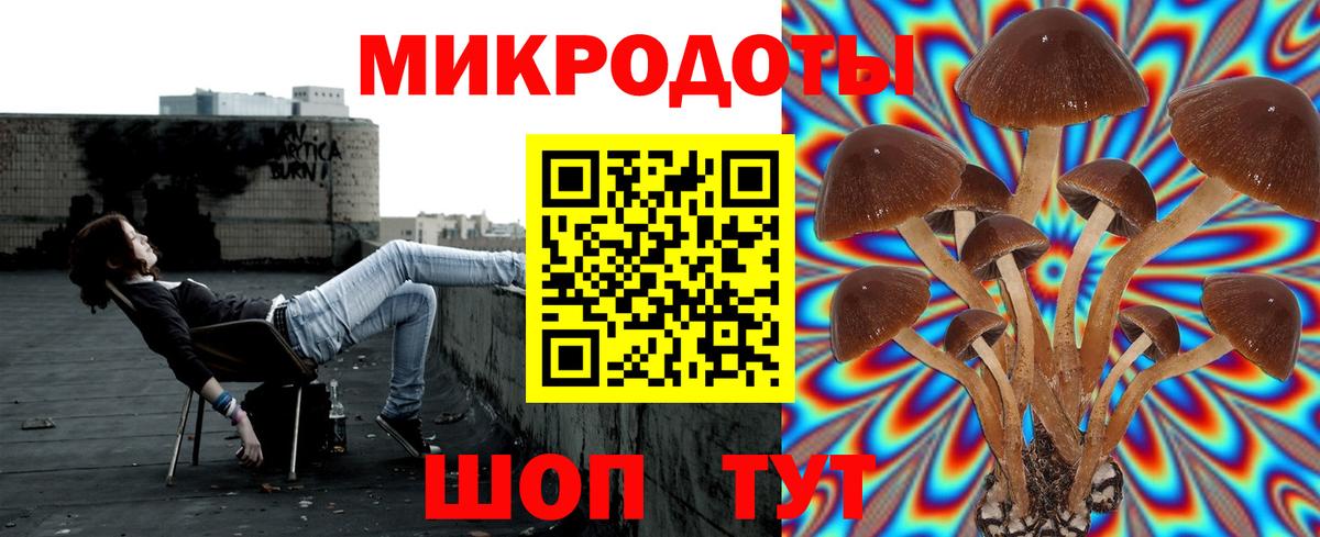 Псилоцибиновые грибы мухоморы  Вход с VPN  Лангепас  Псилоцибиновые грибы Psilocybe 